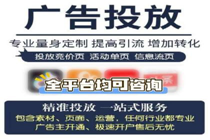 SEM服务案例：提升网站流量